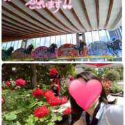 ヒメ日記 2025/06/01 08:03 投稿 望月れいら La elf（ラ・エルフ）