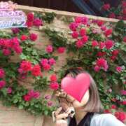 ヒメ日記 2025/06/17 12:23 投稿 望月れいら La elf（ラ・エルフ）