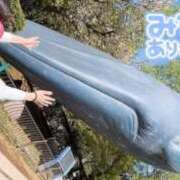 ヒメ日記 2025/06/27 22:03 投稿 望月れいら La elf（ラ・エルフ）