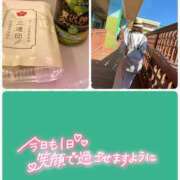 ヒメ日記 2025/07/01 10:03 投稿 望月れいら La elf（ラ・エルフ）