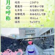 ヒメ日記 2025/07/02 10:05 投稿 望月れいら La elf（ラ・エルフ）