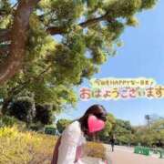 ヒメ日記 2025/07/06 12:05 投稿 望月れいら La elf（ラ・エルフ）