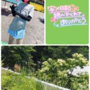 ヒメ日記 2025/07/16 14:23 投稿 望月れいら La elf（ラ・エルフ）