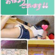 ヒメ日記 2025/07/17 10:13 投稿 望月れいら La elf（ラ・エルフ）