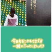 ヒメ日記 2025/07/18 19:23 投稿 望月れいら La elf（ラ・エルフ）