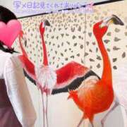 ヒメ日記 2025/07/24 11:43 投稿 望月れいら La elf（ラ・エルフ）