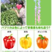 ヒメ日記 2025/07/25 10:33 投稿 望月れいら La elf（ラ・エルフ）