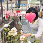 ヒメ日記 2025/07/27 09:43 投稿 望月れいら La elf（ラ・エルフ）