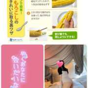 ヒメ日記 2025/07/28 20:53 投稿 望月れいら La elf（ラ・エルフ）