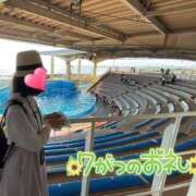 ヒメ日記 2025/07/31 17:13 投稿 望月れいら La elf（ラ・エルフ）