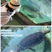 ヒメ日記 2025/08/13 13:33 投稿 望月れいら La elf（ラ・エルフ）