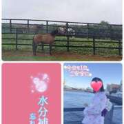 ヒメ日記 2025/08/17 10:14 投稿 望月れいら La elf（ラ・エルフ）