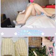 ヒメ日記 2025/08/26 19:13 投稿 望月れいら La elf（ラ・エルフ）