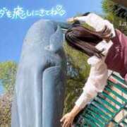 ヒメ日記 2025/08/28 12:13 投稿 望月れいら La elf（ラ・エルフ）