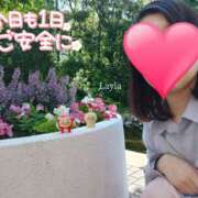 ヒメ日記 2025/09/23 11:33 投稿 望月れいら La elf（ラ・エルフ）