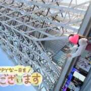 ヒメ日記 2025/09/23 12:13 投稿 望月れいら La elf（ラ・エルフ）