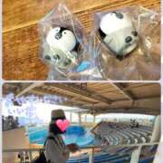 ヒメ日記 2025/09/30 22:43 投稿 望月れいら La elf（ラ・エルフ）