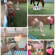 ヒメ日記 2025/10/03 10:03 投稿 望月れいら La elf（ラ・エルフ）