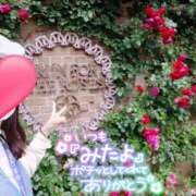 ヒメ日記 2025/10/06 15:43 投稿 望月れいら La elf（ラ・エルフ）