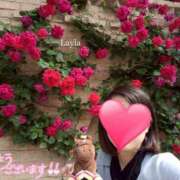 ヒメ日記 2025/10/19 12:13 投稿 望月れいら La elf（ラ・エルフ）