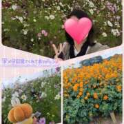 ヒメ日記 2025/11/11 16:23 投稿 望月れいら La elf（ラ・エルフ）