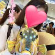 ヒメ日記 2025/11/13 11:53 投稿 望月れいら La elf（ラ・エルフ）