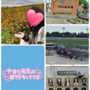 ヒメ日記 2025/11/13 15:13 投稿 望月れいら La elf（ラ・エルフ）