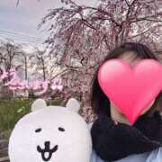 ヒメ日記 2025/11/19 15:03 投稿 望月れいら La elf（ラ・エルフ）