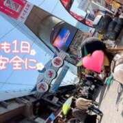 ヒメ日記 2025/12/01 14:23 投稿 望月れいら La elf（ラ・エルフ）