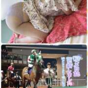 ヒメ日記 2025/12/03 16:53 投稿 望月れいら La elf（ラ・エルフ）