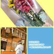 望月れいら 【献花に行ってきました】 La elf（ラ・エルフ）