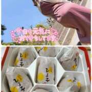 ヒメ日記 2025/12/10 16:03 投稿 望月れいら La elf（ラ・エルフ）