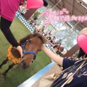 ヒメ日記 2025/12/17 17:13 投稿 望月れいら La elf（ラ・エルフ）