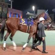 ヒメ日記 2025/12/19 23:03 投稿 望月れいら La elf（ラ・エルフ）