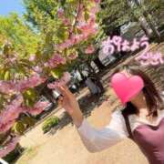 ヒメ日記 2026/01/19 12:43 投稿 望月れいら La elf（ラ・エルフ）