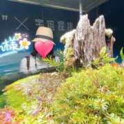 ヒメ日記 2026/01/27 18:03 投稿 望月れいら La elf（ラ・エルフ）