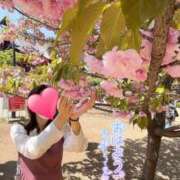 ヒメ日記 2026/02/04 10:53 投稿 望月れいら La elf（ラ・エルフ）