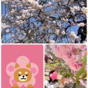 ヒメ日記 2026/03/05 15:24 投稿 望月れいら La elf（ラ・エルフ）