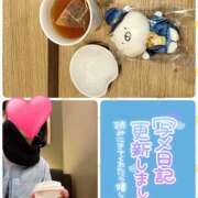 ヒメ日記 2026/03/17 15:03 投稿 望月れいら La elf（ラ・エルフ）