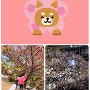 ヒメ日記 2026/03/27 12:04 投稿 望月れいら La elf（ラ・エルフ）