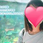 ヒメ日記 2026/04/07 19:33 投稿 望月れいら La elf（ラ・エルフ）