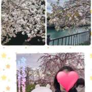 ヒメ日記 2026/04/10 12:23 投稿 望月れいら La elf（ラ・エルフ）