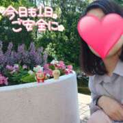 ヒメ日記 2026/04/11 12:18 投稿 望月れいら La elf（ラ・エルフ）