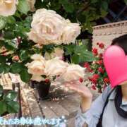 ヒメ日記 2026/05/23 16:03 投稿 望月れいら La elf（ラ・エルフ）