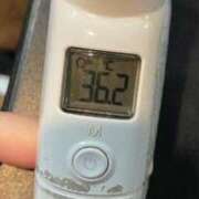 ヒメ日記 2025/04/13 07:00 投稿 にこる Beppin house