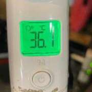 ヒメ日記 2025/05/11 07:20 投稿 にこる Beppin house