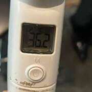 ヒメ日記 2025/06/04 07:10 投稿 にこる Beppin house