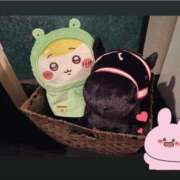 ヒメ日記 2025/07/07 10:20 投稿 にこる Beppin house