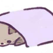 ヒメ日記 2025/07/16 11:53 投稿 にこる Beppin house