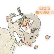 ヒメ日記 2025/07/20 15:50 投稿 にこる Beppin house